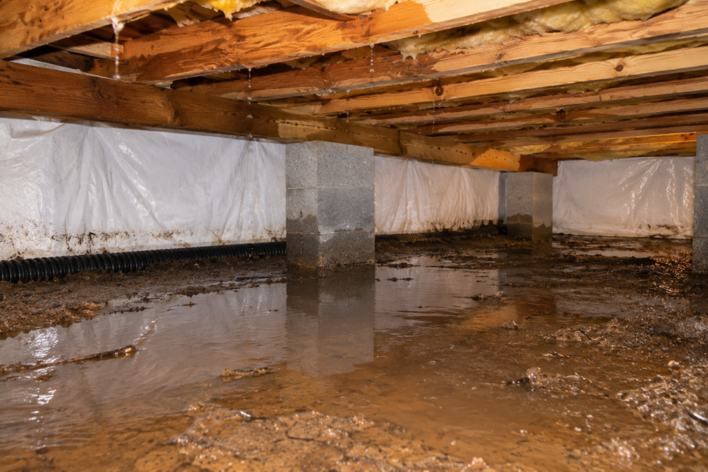Why Is My Crawl Space Wet Why Is My Crawl Space Wet